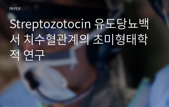 Streptozotocin 유도당뇨백서 치수혈관계의 초미형태학적 연구