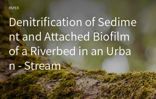 Denitrification of Sediment and Attached Biofilm of a Riverbed in an Urban - Stream