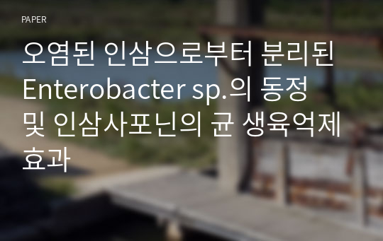 오염된 인삼으로부터 분리된 Enterobacter sp.의 동정 및 인삼사포닌의 균 생육억제효과