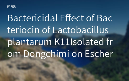 Bactericidal Effect of Bacteriocin of Lactobacillus plantarum K11Isolated from Dongchimi on Escherichia coli O157