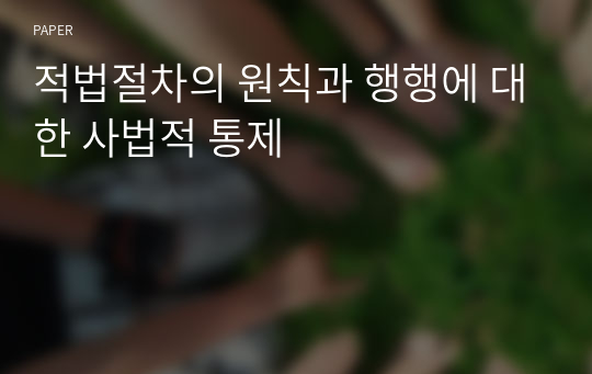 적법절차의 원칙과 행행에 대한 사법적 통제