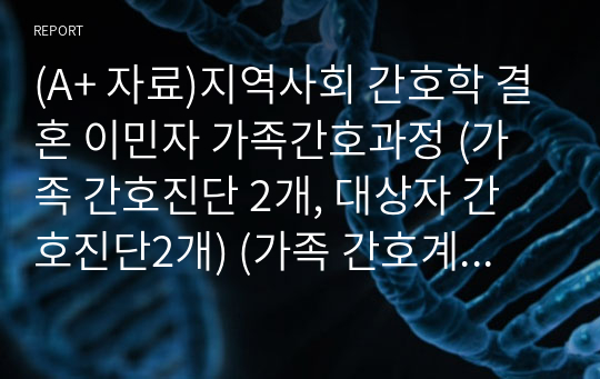 (A+ 자료)지역사회 간호학 결혼 이민자 가족간호과정 (가족 간호진단 2개, 대상자 간호진단2개) (가족 간호계획 1개, 대상자 간호계획 1개)