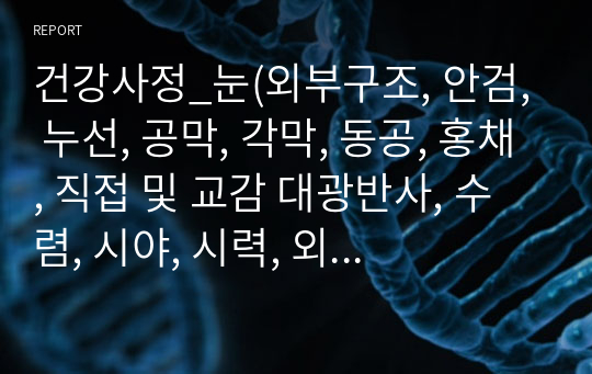 건강사정_눈(외부구조, 안검, 누선, 공막, 각막, 동공, 홍채, 직접 및 교감 대광반사, 수렴, 시야, 시력, 외안근운동, 내안구조 검사)