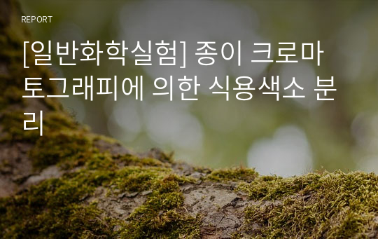 [일반화학실험] 종이 크로마토그래피에 의한 식용색소 분리