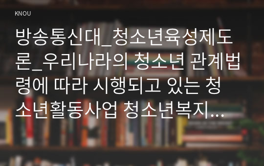 방송통신대_청소년육성제도론_우리나라의 청소년 관계법령에 따라 시행되고 있는 청소년활동사업 청소년복지사업 청소년 보호사업을 각각 1가지씩 총 3가지 선정하여 해당 사업들에 대한 탐색보고서를 작성