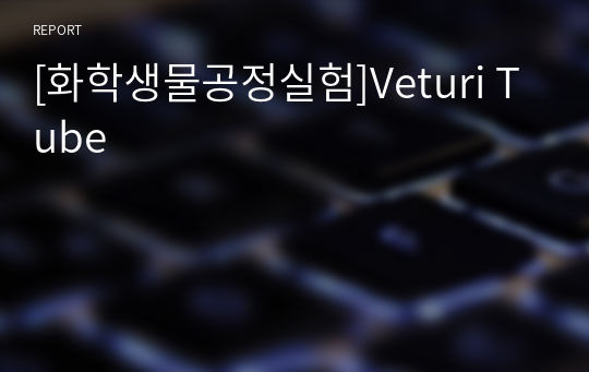 [화학생물공정실험]Veturi Tube