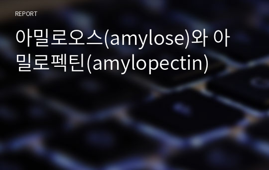 아밀로오스(amylose)와 아밀로펙틴(amylopectin)