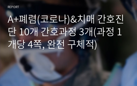 A+폐렴&amp;치매 간호진단 10개 간호과정 3개(과정 1개당 4쪽, 완전 구체적)