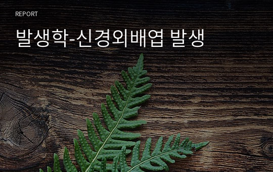 발생학-신경외배엽 발생