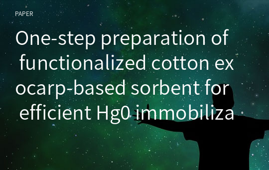 One‑step preparation of functionalized cotton exocarp‑based sorbent for efficient Hg0 immobilization