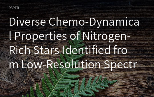 Diverse Chemo-Dynamical Properties of Nitrogen-Rich Stars Identified from Low-Resolution Spectra