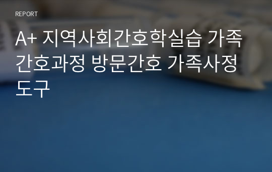 A+ 지역사회간호학실습 가족간호과정 방문간호 가족사정도구