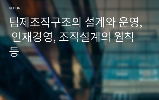 팀제조직구조의 설계와 운영, 인재경영, 조직설계의 원칙 등