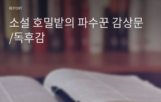 소설 호밀밭의 파수꾼 감상문/독후감