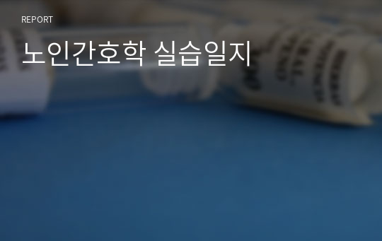 노인간호학 실습일지