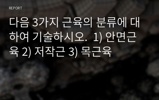 다음 3가지 근육의 분류에 대하여 기술하시오.  1) 안면근육 2) 저작근 3) 목근육