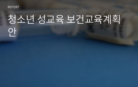 청소년 성교육 보건교육계획안