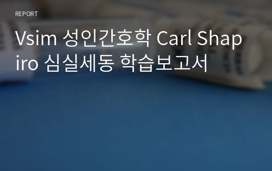 Vsim 성인간호학 Carl Shapiro 심실세동 학습보고서