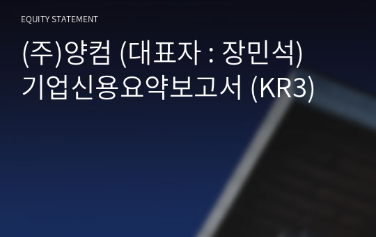 (주)양컴 기업신용요약보고서 (KR3)