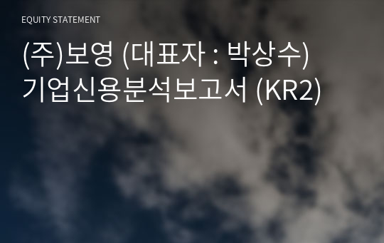 (주)보영 기업신용분석보고서 (KR2)