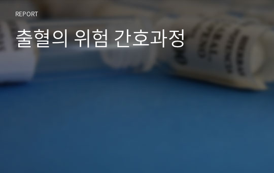 출혈의 위험 간호과정