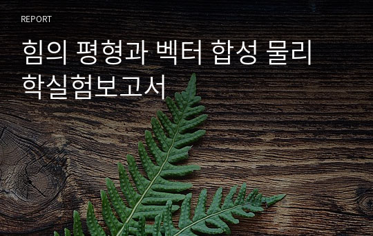 힘의 평형과 벡터 합성 물리학실험보고서