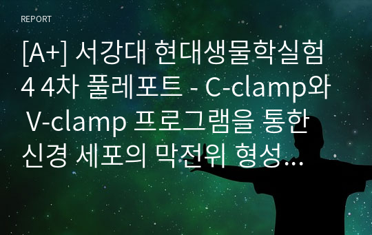 [A+] 서강대 현대생물학실험4 4차 풀레포트 - C-clamp와 V-clamp 프로그램을 통한 신경 세포의 막전위 형성 과정의 이해