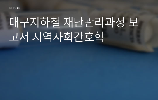 대구지하철 재난관리과정 보고서 지역사회간호학