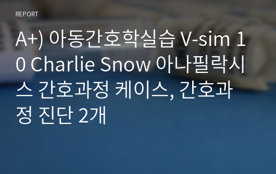 A+) 아동간호학실습 V-sim 10 Charlie Snow 아나필락시스 간호과정 케이스, 간호과정 진단 2개