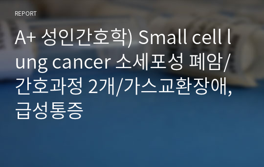 A+ 성인간호학) Small cell lung cancer 소세포성 폐암/간호과정 2개/가스교환장애, 급성통증