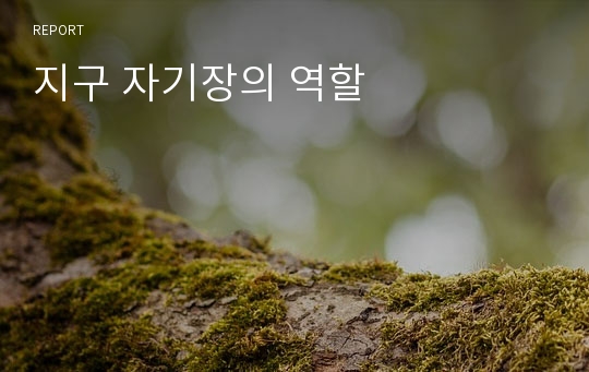 지구 자기장의 역할