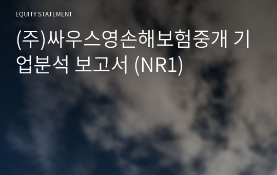 (주)싸우스영손해보험중개 기업분석 보고서 (NR1)