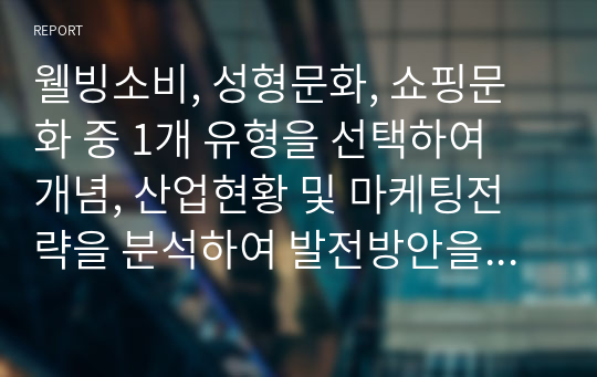 웰빙소비, 성형문화, 쇼핑문화 중 1개 유형을 선택하여 개념, 산업현황 및 마케팅전략을 분석하여 발전방안을 제시하시오.