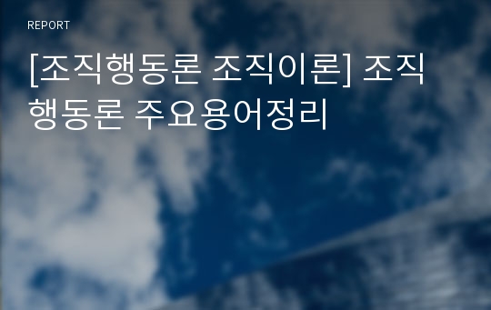 [조직행동론 조직이론] 조직행동론 주요용어정리