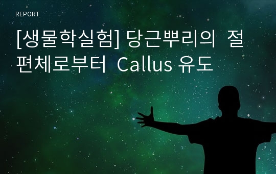 [생물학실험] 당근뿌리의  절편체로부터  Callus 유도