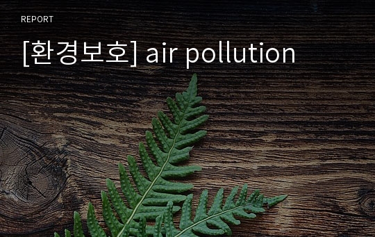 [환경보호] air pollution