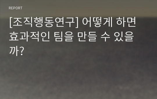 [조직행동연구] 어떻게 하면 효과적인 팀을 만들 수 있을까?