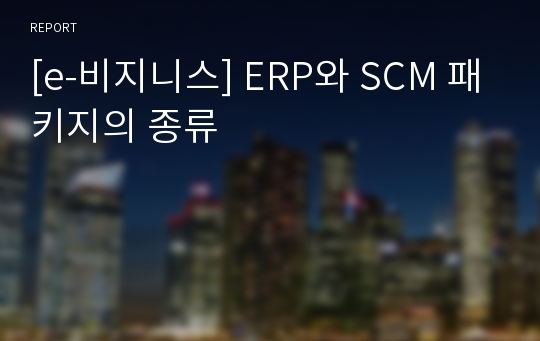 [e-비지니스] ERP와 SCM 패키지의 종류