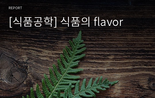 [식품공학] 식품의 flavor