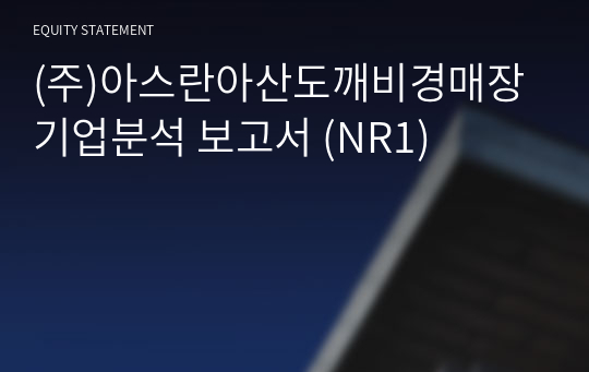 (주)아스란아산도깨비경매장 기업분석 보고서 (NR1)