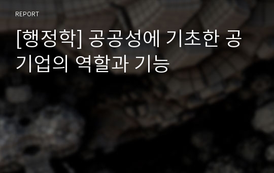 [행정학] 공공성에 기초한 공기업의 역할과 기능