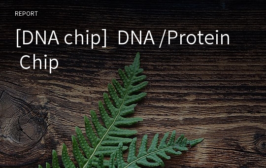 [DNA chip]  DNA /Protein Chip