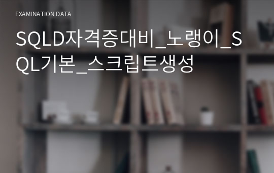 SQLD자격증대비_노랭이_SQL기본_스크립트생성