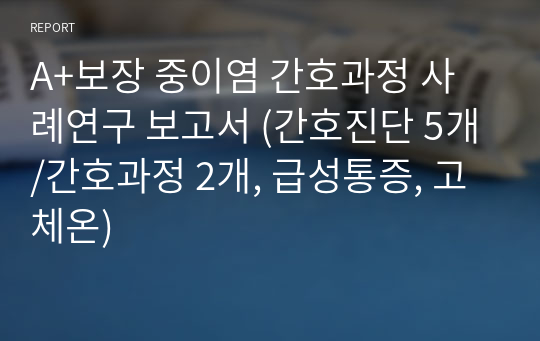 A+보장 중이염 간호과정 사례연구 보고서 (간호진단 5개/간호과정 2개, 급성통증, 고체온)