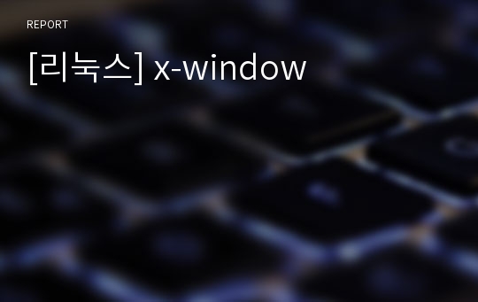 [리눅스] x-window