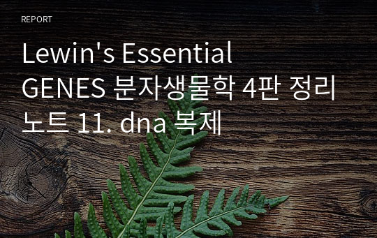 Lewin&#039;s Essential GENES 분자생물학 4판 정리노트 11. dna 복제