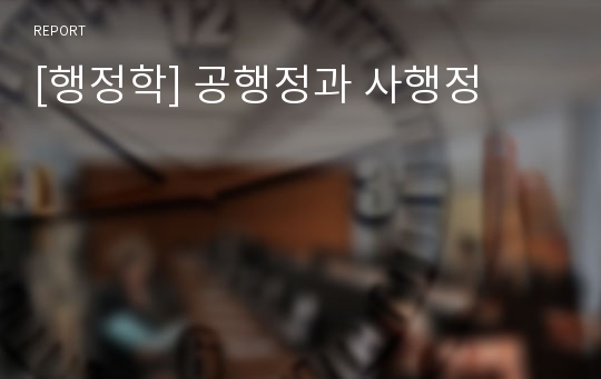 [행정학] 공행정과 사행정