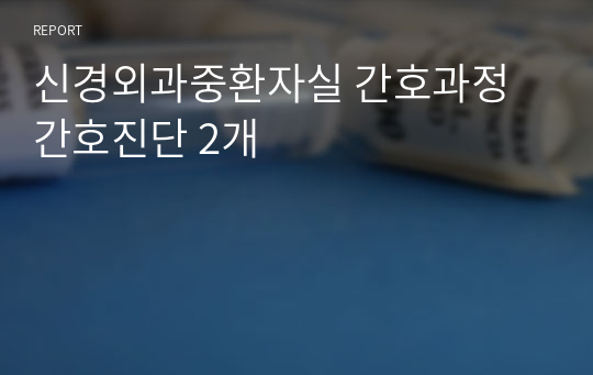 신경외과중환자실 간호과정 간호진단 2개