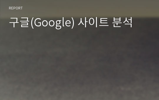 구글(Google) 사이트 분석