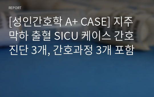 [성인간호학 A+ CASE] 지주막하 출혈 SICU 케이스 간호진단 3개, 간호과정 3개 포함